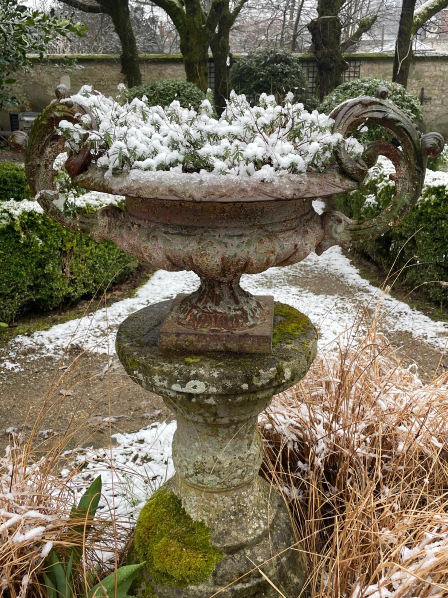 Belle Fontaine *